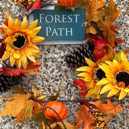 Forest Path Luxury Studio Apartment With Large Bedroom Bathroom And Sauna Sleeps Up To 4 Ballynahinch Exteriör bild