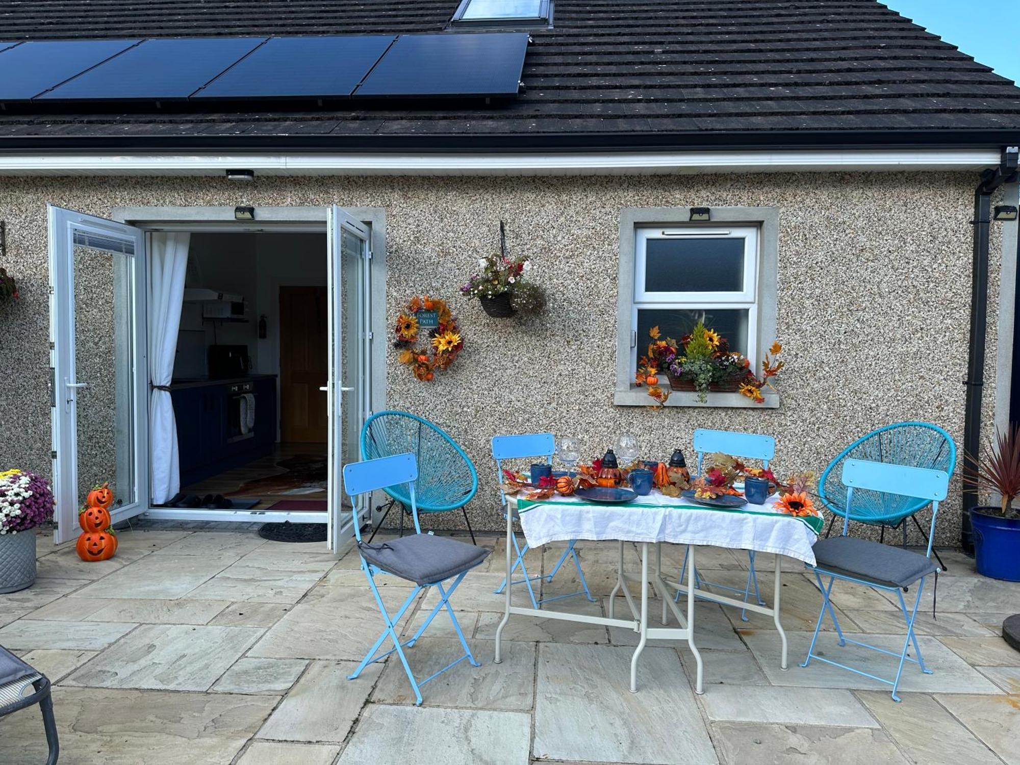 Forest Path Luxury Studio Apartment With Large Bedroom Bathroom And Sauna Sleeps Up To 4 Ballynahinch Exteriör bild