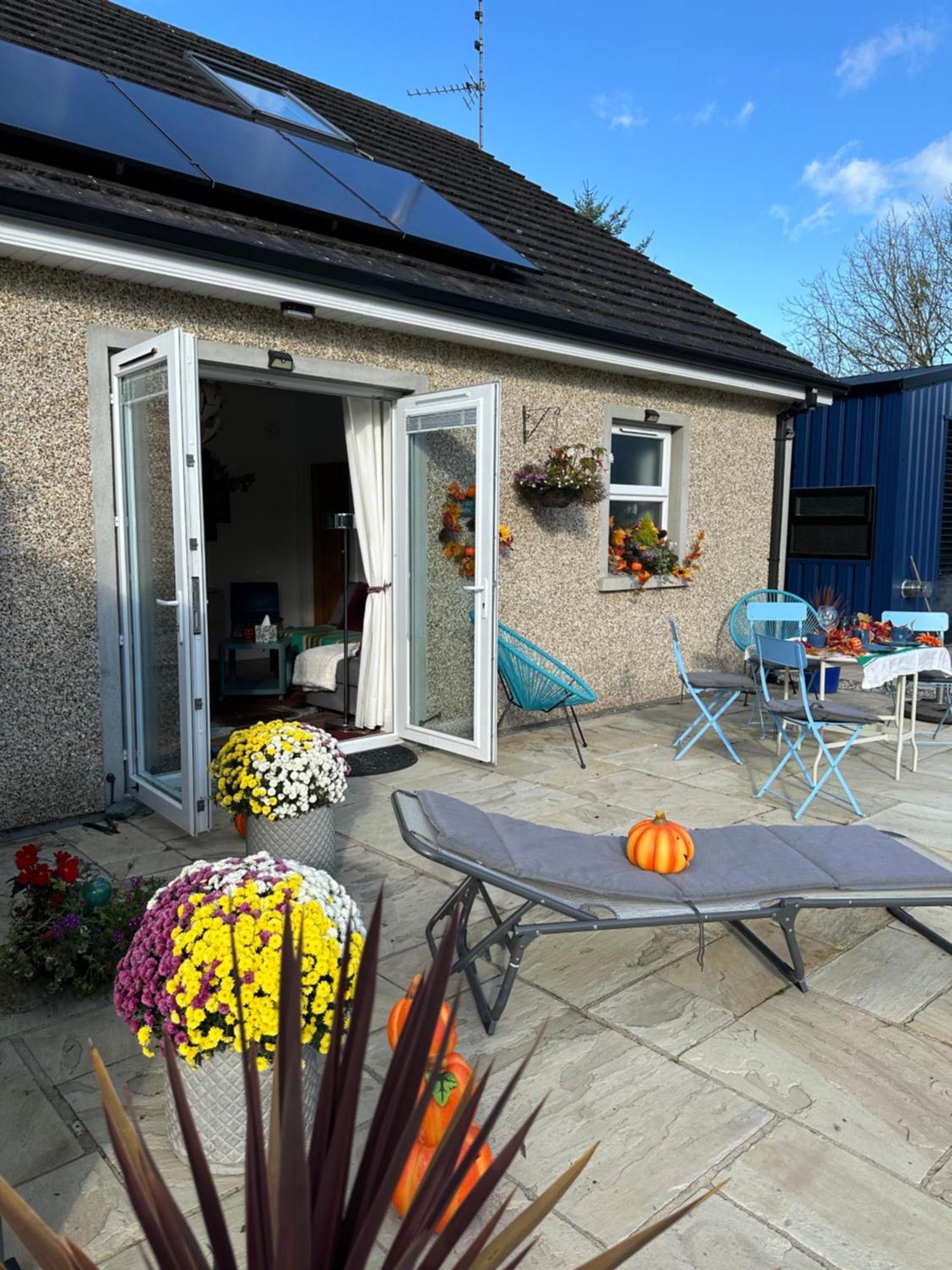 Forest Path Luxury Studio Apartment With Large Bedroom Bathroom And Sauna Sleeps Up To 4 Ballynahinch Exteriör bild