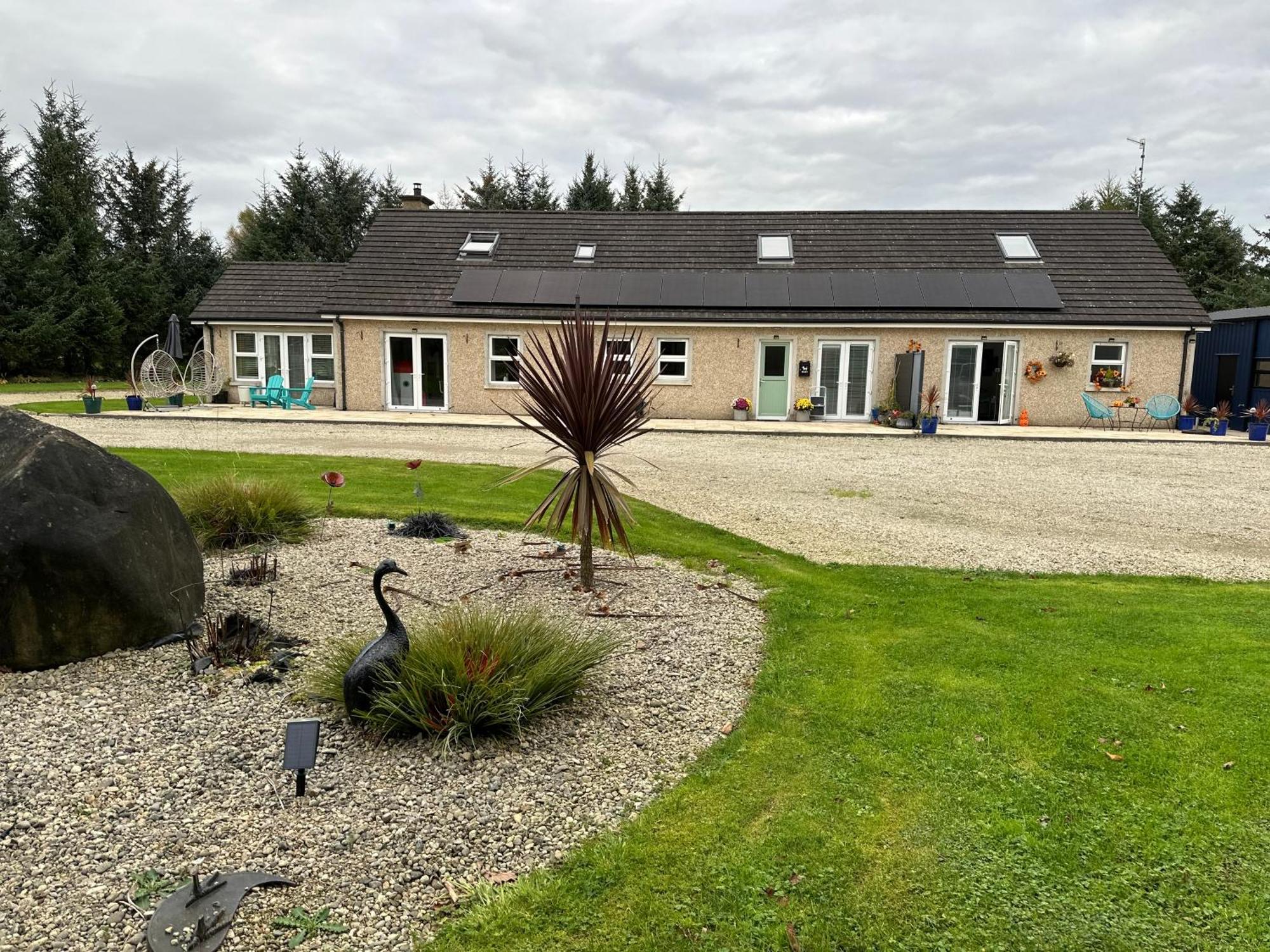 Forest Path Luxury Studio Apartment With Large Bedroom Bathroom And Sauna Sleeps Up To 4 Ballynahinch Exteriör bild